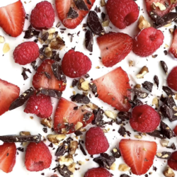 frozen yogurt bark